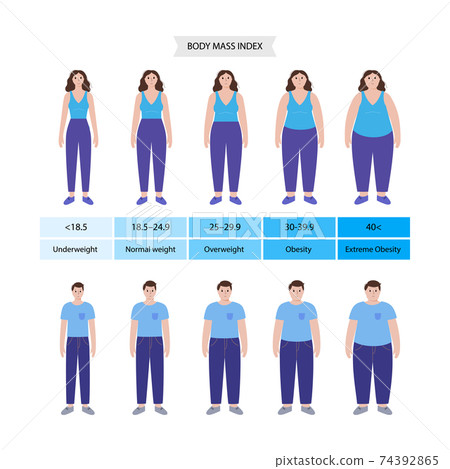 Body mass index - Stock Illustration [74392865] - PIXTA