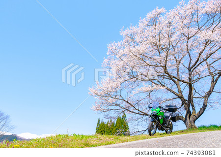 工具(彈簧) 工具(彈簧) 74393081