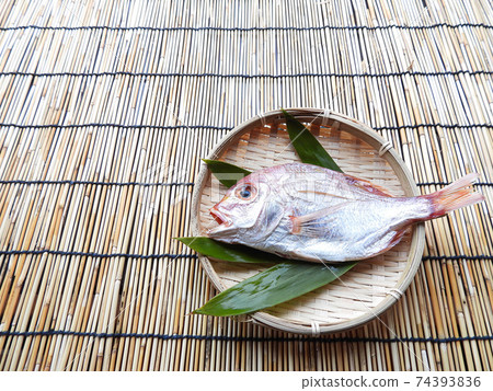 Renko鯛魚過夜乾燥 Renko鯛魚過夜乾燥 74393836