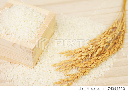 盒裝白米飯和米耳 盒裝白米飯和米耳 74394520