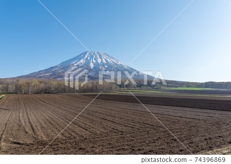 北海道的藍天和四葉山/新雪谷地區 北海道的藍天和四葉山/新雪谷地區 74396869