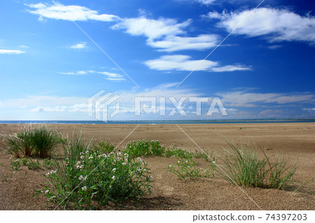 Summer landscape with green grass, road and clouds Summer landscape with green grass, road and clouds 74397203