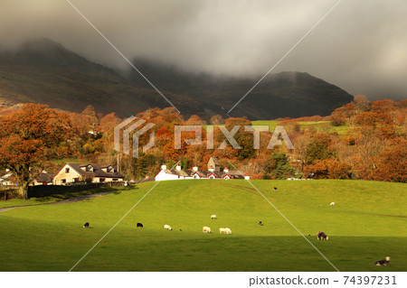 Autumn dramatic landscape Autumn dramatic landscape 74397231