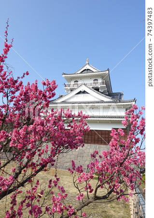 日本城堡盛開 日本城堡盛開 74397483