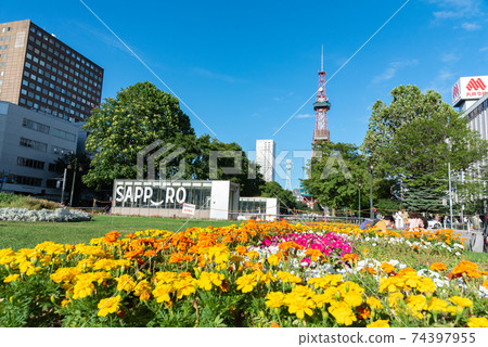 夏季大通公園/北海道札幌市的旅遊圖片 夏季大通公園/北海道札幌市的旅遊圖片 74397955