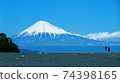 美穗之松原的雪山富士山 74398165