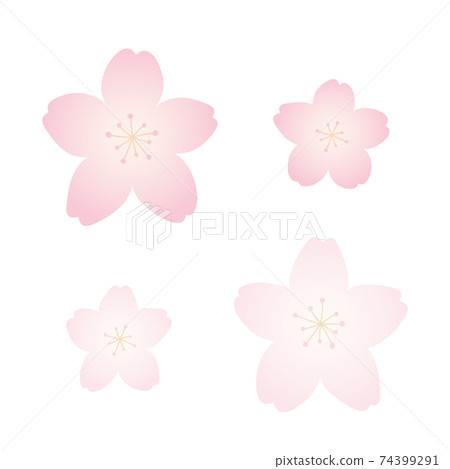 櫻花圖大與小集 74399291