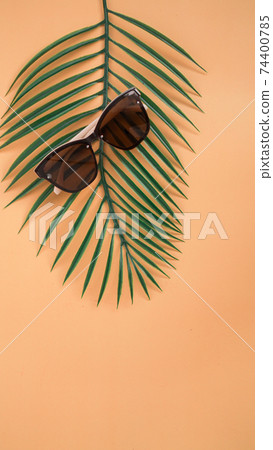 Sunglasses sale concept. Sunglasses on orange background with tropical leaves 74400785