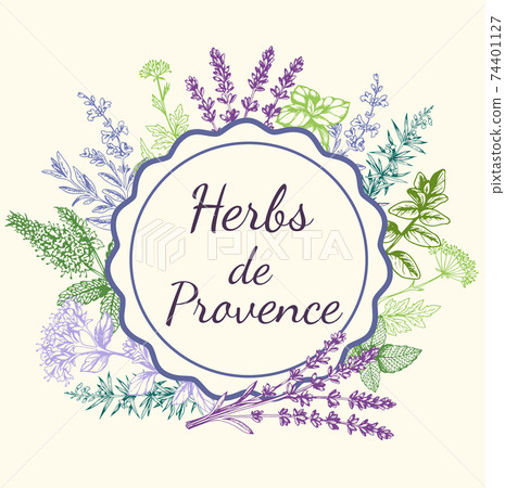 Background with Provencal spices and herbs. 74401127