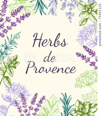 Background with Provencal spices and herbs. 74401128