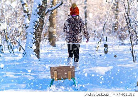 child girl walks with sledge in the winter forest, bright sunlight and shadows on the snow, beautiful nature 74401198