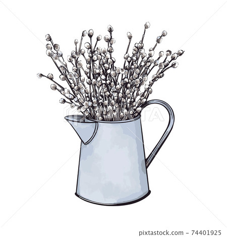 A bouquet of willow in a beautiful vase. Hand-drawn vector illustration. A bouquet of willow in a beautiful vase. Hand-drawn vector illustration. 74401925