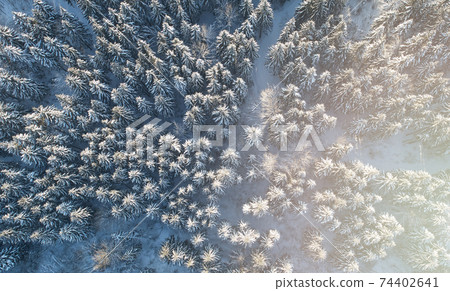 Snowy landscape background Snowy landscape background 74402641