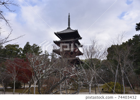 Ninna-ji 5層塔 74403432