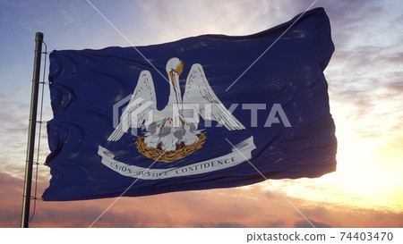 Flag of Louisiana waving in the wind against deep beautiful sky. 3d illustration 74403470