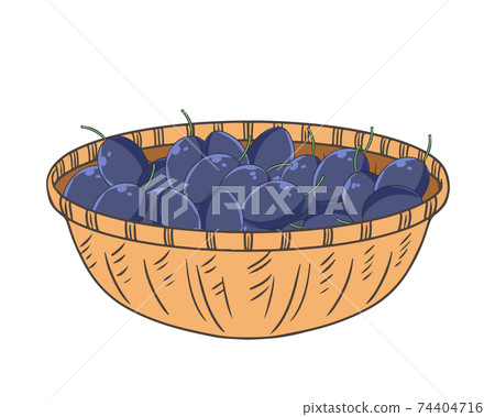 Prunes in the basket 74404716