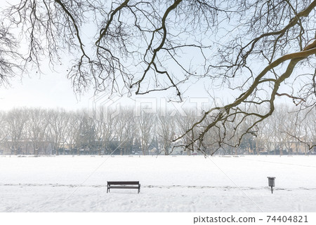 Jan Kasprowicz Park in winter, Szczecin, Poland. Jan Kasprowicz Park in winter, Szczecin, Poland. 74404821