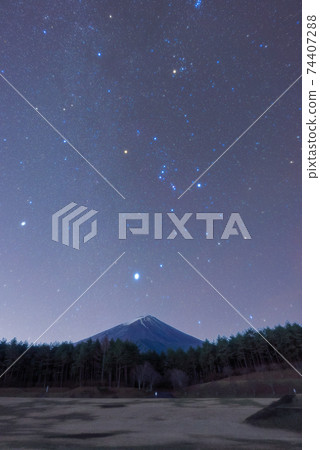 Fuji and Orion 74407288