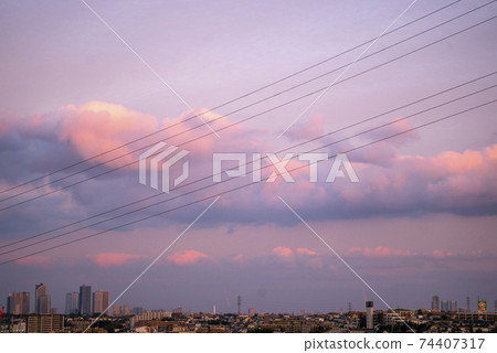 武藏小杉的塔樓公寓,在粉紅色的夜空上 武藏小杉的塔樓公寓,在粉紅色的夜空上 74407317