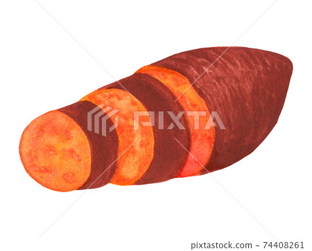 Chopped sweet potato isolated on white background Chopped sweet potato isolated on white background 74408261