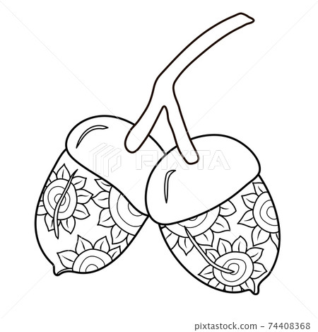 Outlined acorns with sunflower ornament. Vector plant illustration in doodle style. Autumn mood. Oak branch coloring book page. Outlined acorns with sunflower ornament. Vector plant illustration in doodle style. Autumn mood. Oak branch coloring book page. 74408368