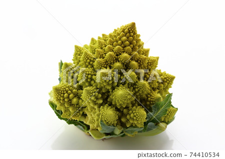 Romanesco（西蘭花） 74410534