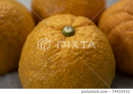 Bellows, a citrus fruit that is said to be effective against pollinosis 74410542