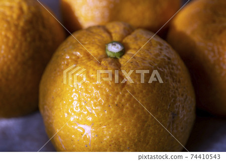 Bellows, a citrus fruit that is said to be effective against pollinosis 74410543