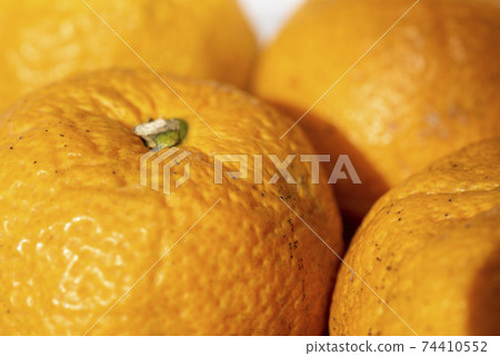 Bellows, a citrus fruit that is said to be effective against pollinosis 74410552