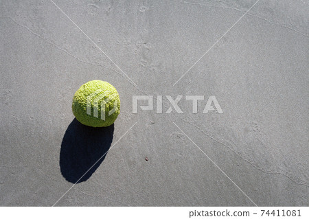 Adam's apple on the seashore. 74411081