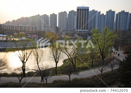 Olympic Park, Spring, Bullock Tree Olympic Park, Spring, Bullock Tree 74412070