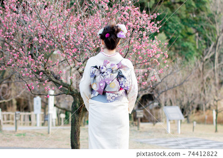 The back of a woman wearing a kimono The back of a woman wearing a kimono 74412822