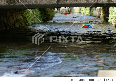 Tottori, a walk in the four seasons, the river where Koinobori swims, the Seto River 74413304