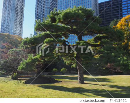 Hamarikyu Gardens Hamarikyu Gardens 74413451