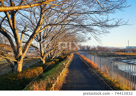 Mukogawa riverbed promenade in Sanda city bathing in the setting sun Mukogawa riverbed promenade in Sanda city bathing in the setting sun 74413832