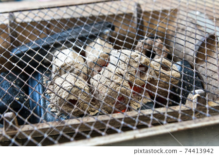 台灣澎湖縣的烤牡蠣的木碳 74413942