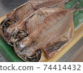 幹馬鯖魚 74414432