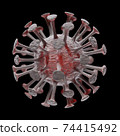 新冠狀病毒的3D圖像 74415492