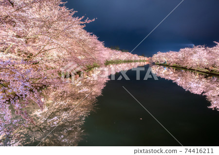 Hirosaki Castle Park full bloom night cherry blossom HDR 74416211