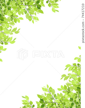 Fresh green frame / background material (vertical) Fresh green frame / background material (vertical) 74417210