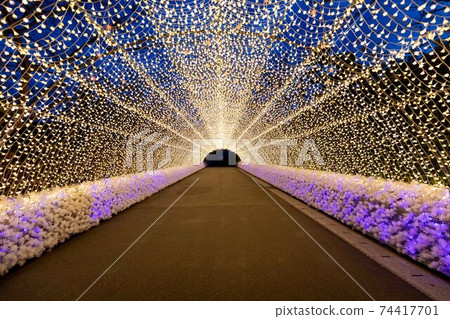 Mie Prefecture Nabana no Sato Illuminations 74417701