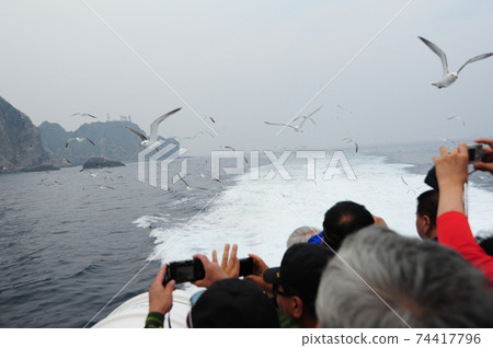 Dokdo, travel, own land, island, East Sea, Seonginbong Dokdo, travel, own land, island, East Sea, Seonginbong 74417796