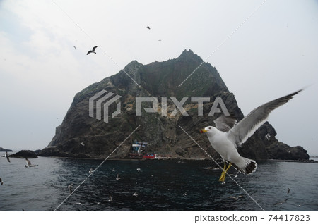 Dokdo, travel, own land, island, East Sea, Seonginbong Dokdo, travel, own land, island, East Sea, Seonginbong 74417823
