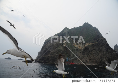 Dokdo, travel, own land, island, East Sea, Seonginbong Dokdo, travel, own land, island, East Sea, Seonginbong 74417873
