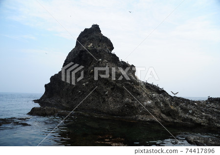 獨島,旅行,自己的土地,島嶼,東海,城仁峰 獨島,旅行,自己的土地,島嶼,東海,城仁峰 74417896