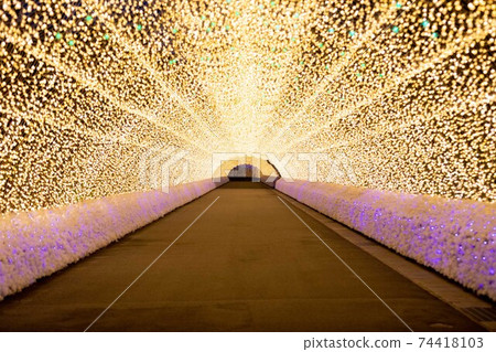 Mie Prefecture Nabana no Sato Illuminations 74418103
