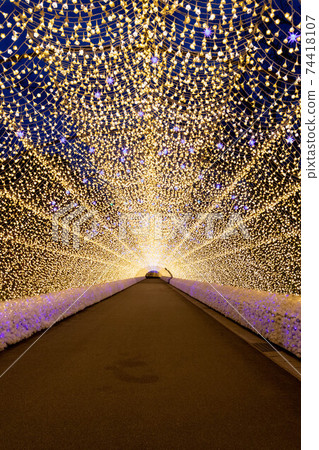 Mie Prefecture Nabana no Sato Illuminations 74418107