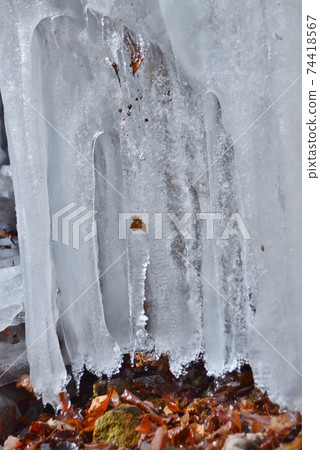 White curtains of ice 74418567