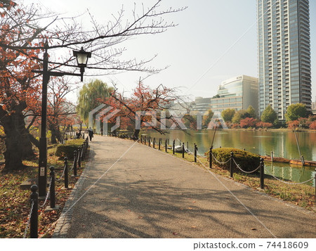 上野公園秋葉 上野公園秋葉 74418609