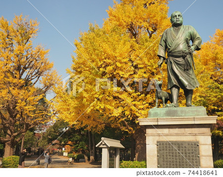 Ueno Park Autumn leaves 74418641